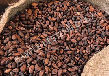 Lesotho Cocoa Beans