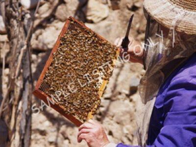 Pure Lesotho Honey