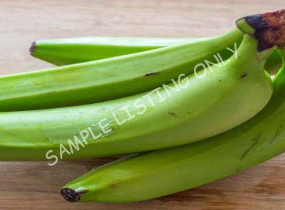 Lesotho Green and Yellow Plantain