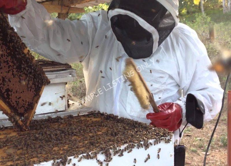 Sweet Lesotho Honey